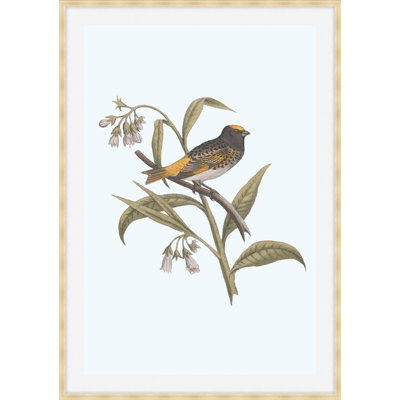 Nesting Navigators Blue 5 Print
