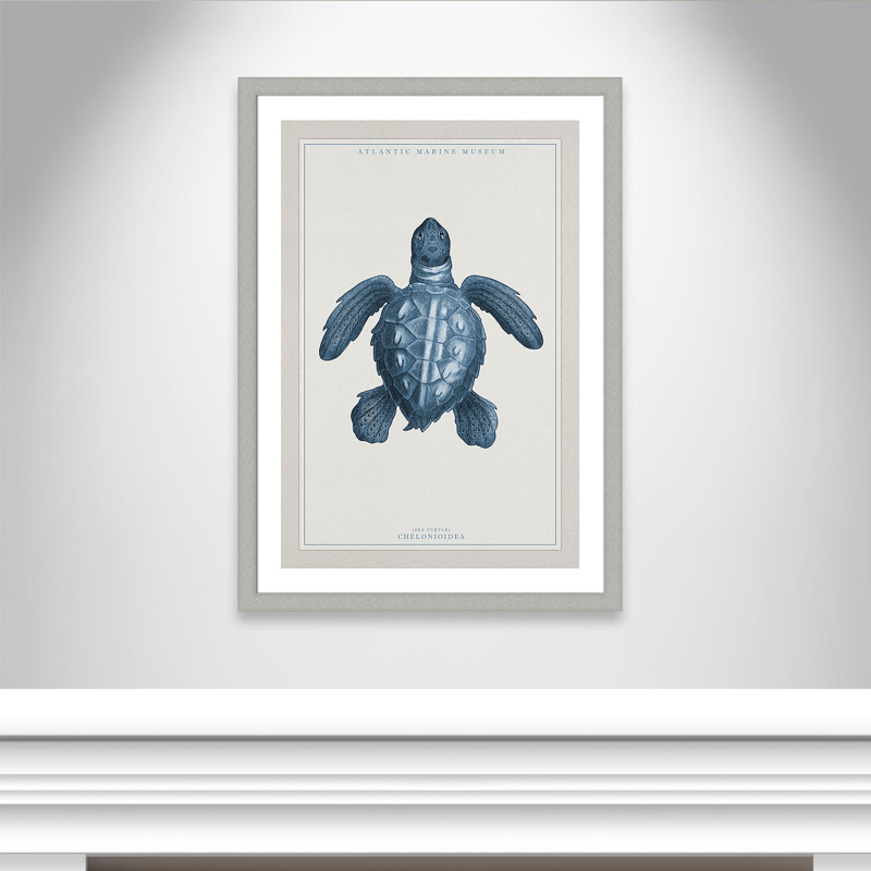 Alyiah «Atlantic Marine Museum Turtle I», reproduction d'impression encadrée