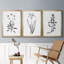 Inky Botanical I - Ensemble de 3 peintures-817928874-818675230
