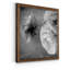 Renoncule foncé II - cadre photo-56897102-56897107-56949610