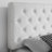  Cornimont Queen Size Vegan Leather Platform Bed, Tufted Headboard, No Box Spring Needed, Noise-Free-159421662-159421663