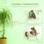 Étagères pour chats pour chats d'intérieur