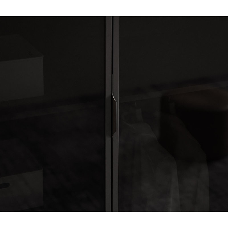 Manufactured Wood Wardrobe, Black Graphite + Wotan Oak/Black Glass