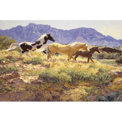 Chevaux au grand lavage
