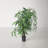 48'' Faux Mango Tree in Pot Liner