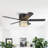Renard 48'' Ceiling Fan with Light Kit