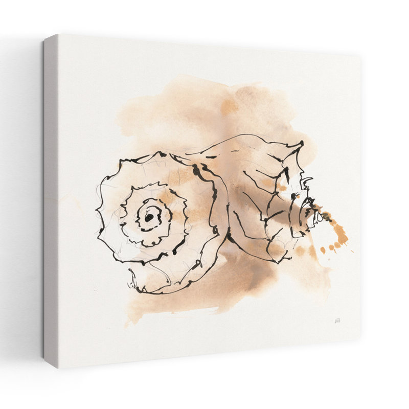 Sandy Conch V, art côtier abstrait, H 18 po x l 18 po