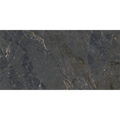 Terramor Grigio 24 In. X 47 In. Honed Porcelain Floor And Wall Tile (15.5 Sq. Ft./Case)