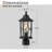 Seeded Lantern Head
