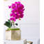 Orchid in Planter-1846719862