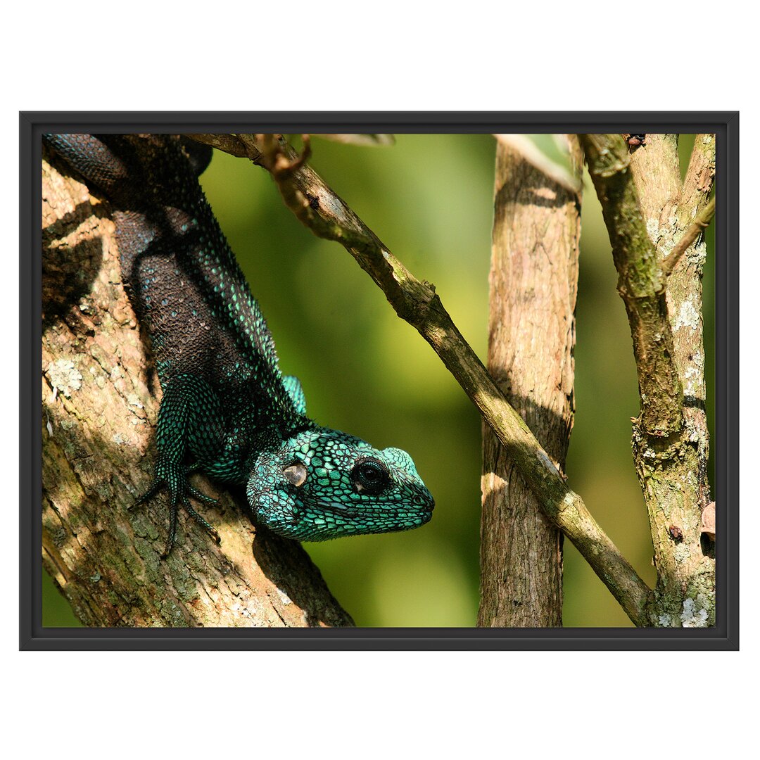 Gerahmtes Wandbild Agama auf Baum Ast