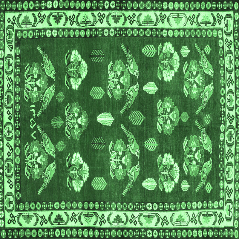 Lucertia Washable Southwestern Indoor Rug, Square 4'