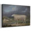 «James New Ewe» par James Ward, art mural sur toile tendue de qualité musée-1220688747