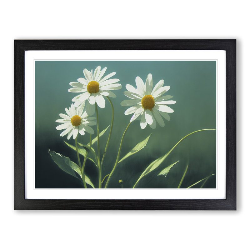 Cosmopolitan Daisy Flowers - Framed Print, Black Framed, 46cm H x 64cm W x 2cm D