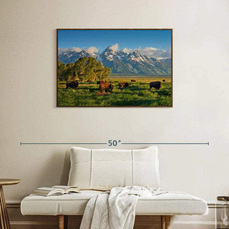 Bison de Grand Teton, 37 po x 25 po, Cadre flottant noyer