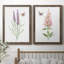«Wildflower Botanical I», ensemble de 2 reproductions d'art-923653541-923653539-808463890