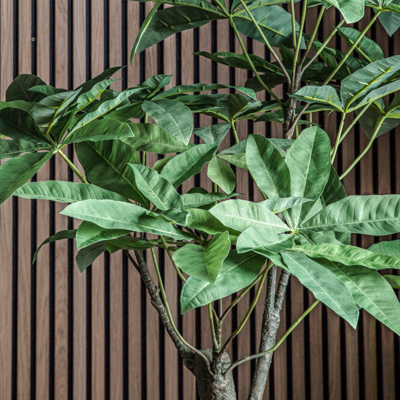 162cm Faux Foliage Tree in Pot