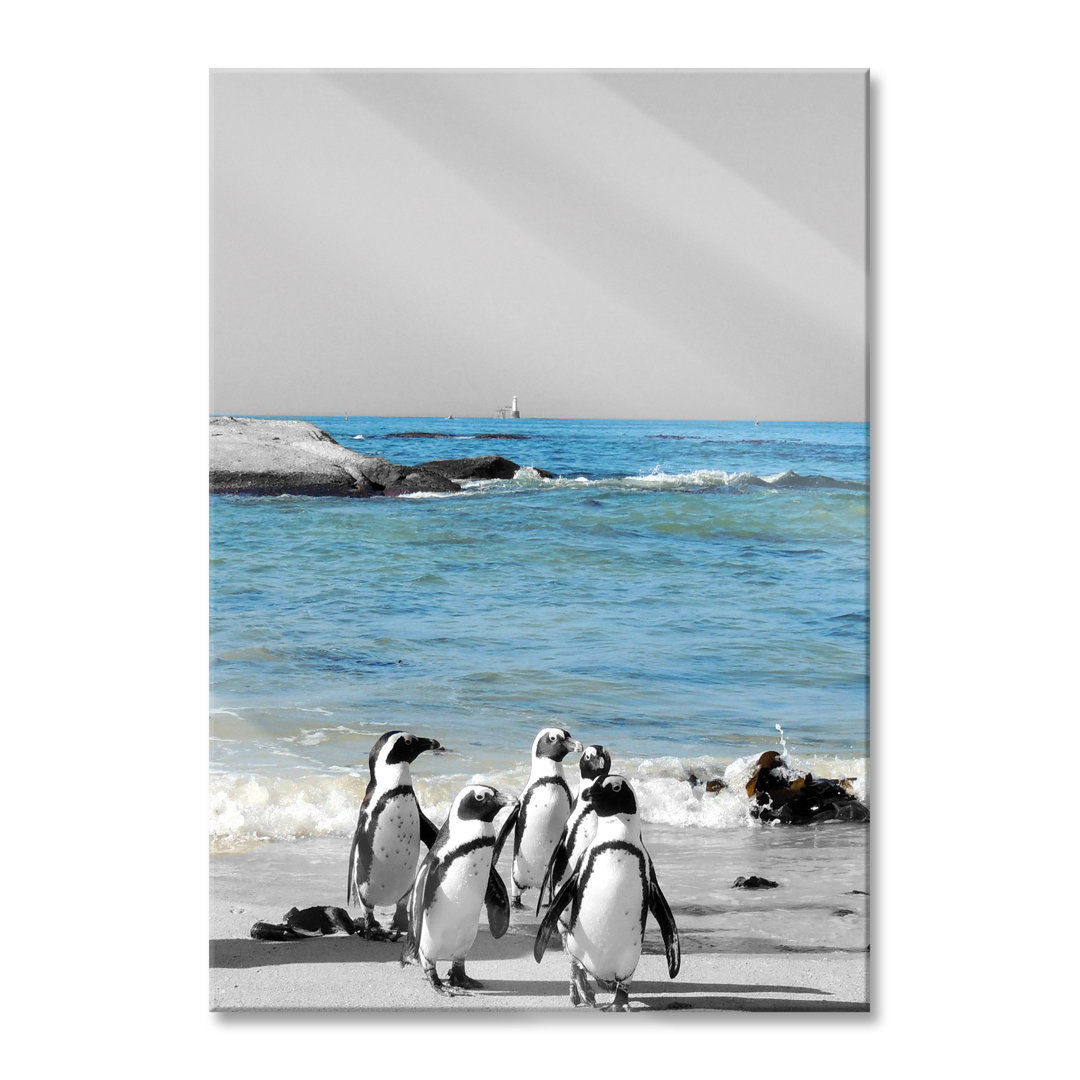 Glasbild Wandbild Auf Echtglas Lustige Pinguine Am Strand Inkl. Aufhängung Und Abstandshalter LF6072