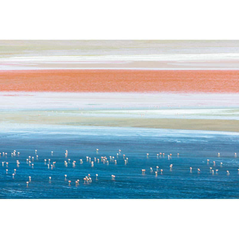 Flamingos And Salt In Laguna Colorada by Gfed - No Frame Print on Canvas, 51cm H x 76cm W