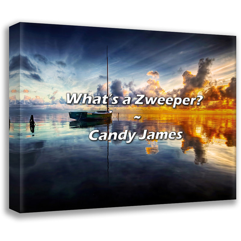 Citation de Candy James: Qu'est-ce qu'un Zweeper?, H 20 po x l 24 po
