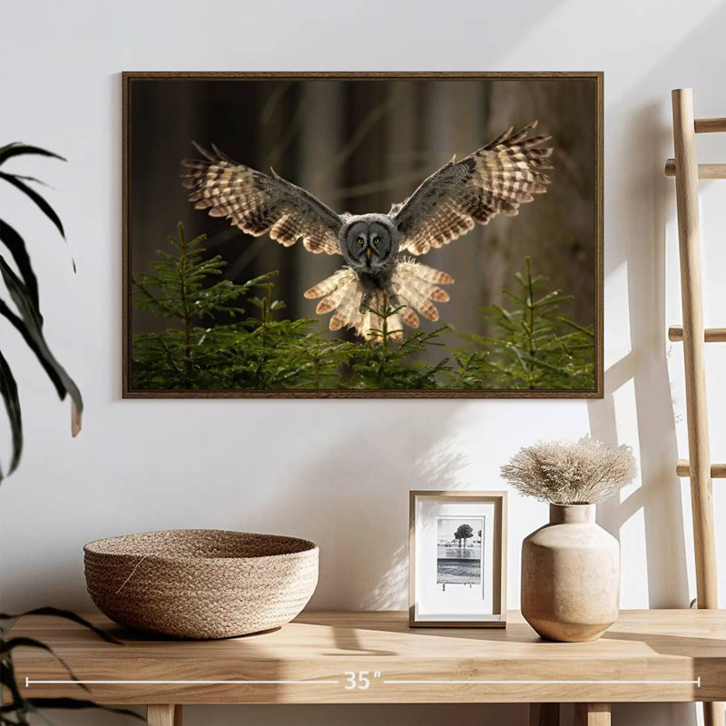 Hibou volant, 25 po x 17 po, Cadre flottant en noyer