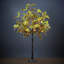 Chêne éclairé avec branches et branches