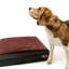 Orthopedic Polyester Pet Bed-87293471-87293467