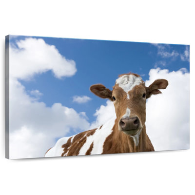 Guernsey Cow