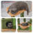 Everee 33" Cat Tree Tower, Green Cactus Cat Tree Condo House with Scratching Posts, Perch, Hammock