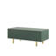 Aset Four Leg Coffee Table with Storage-953936115