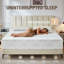 Matelas pour grand lit en mousse viscoélastique gélifiée 12 pouces - Système de mousse moyenne ferme avec housse amovible