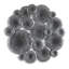 Lotus Collage Metal Wall Décor-54520328