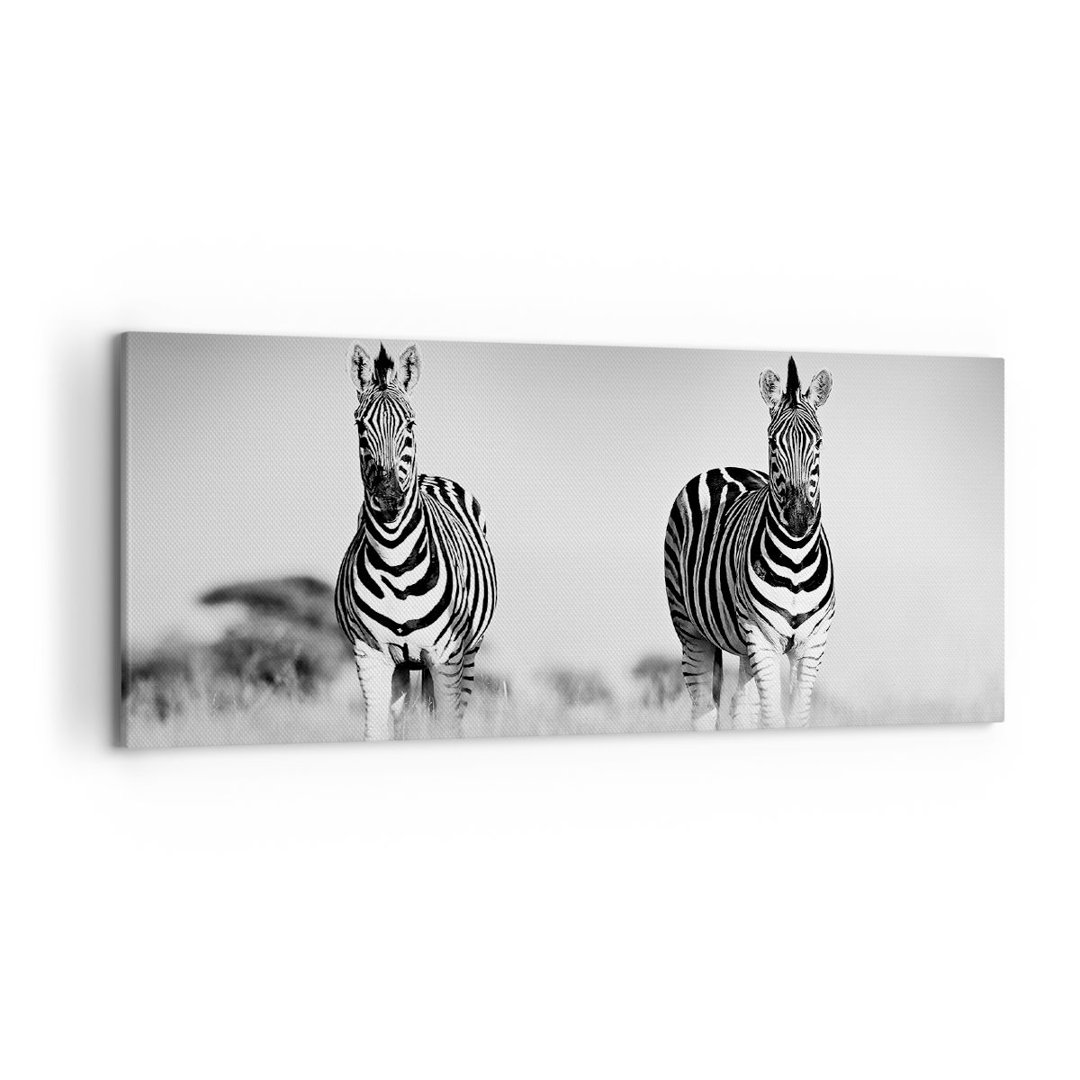 Leinwandbild Zebras Black and White