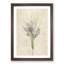 Autumn Crocus Flowers by Pierre-Joseph Redoute - Single Picture Frame Painting-55456726-55456728
