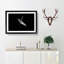 Sea Lion - Picture Frame Painting Print-55613965-55613976