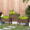 Lit de jardin surélevé avec 3 jardinières, support à plante en bois. Bois massif, drainage, légumes, herbes, fleurs, boîtes de L 72,5 po x l 17,75 po x H 31,5 po, support pour fleurs.