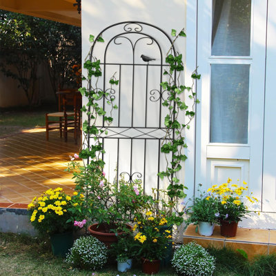 Jardin en fer arqué F2B400542AFD423CB31F1A3D630DB56D, oiseaux pour l'escalade