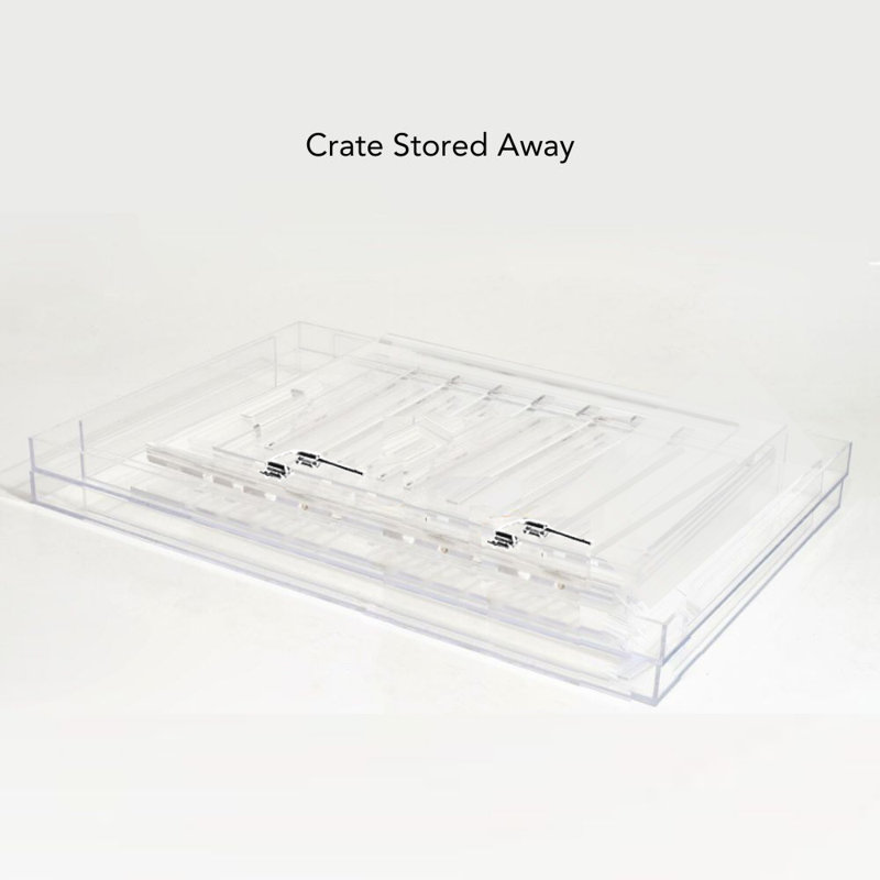 Large Clear View Pet Crate with Silver Latch, Blush