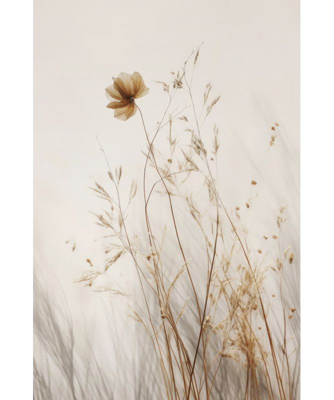 Wrapped Canvas Print, 121.92cm H x 81.28cm W
