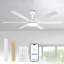 Grand ventilateur de plafond moderne intelligent de 60 po avec lumières DEL 3CCT à intensité variable, moteur CC réversible à 6 vitesses, minuterie, télécommande et contrôle d'apps-1207461777