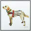 «Apphia Yellow Lab» par Alex Zeng, reproduction d'art encadrée sur verre