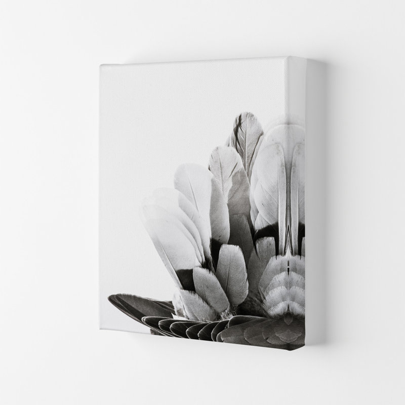 Feathers by Victoria Frost - Print, Wrapped Canvas, 42cm H x 29.7cm W x 4cm D
