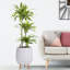 Honeycomb Style Egg Planter with Feet-57886056-57886062