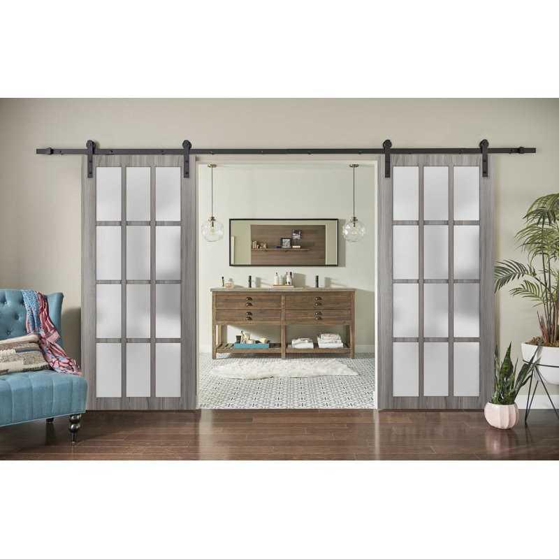Porte de grange double robuste avec vitrage dépoli 12 carreaux Felicia 3312 Gris cendré gingembre, supports de rail de 4 m (13 pi), portes intérieures à panneaux pleins et robustes - 122 cm x 244 cm (48 po x 96 po) (2 x 61 cm x 264 cm) - Rail noir