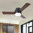 Arielmarie 42'' 3 - Blade Large Indooor Ceiling Fan With Light Kit and Remote, 3 LED Colors, 6 Speed Noiseless DC Motor, Timer-1247189570
