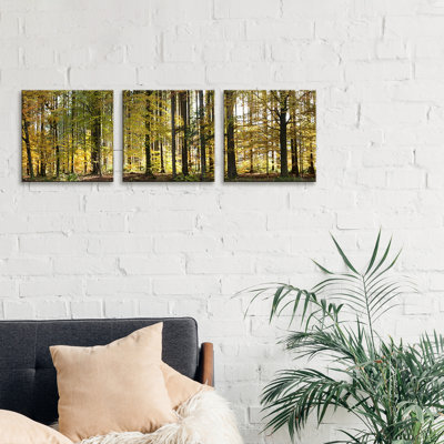 Trees In Autumn, Hohenlohe - 3 Piece Wrapped Canvas Panoramic Print
