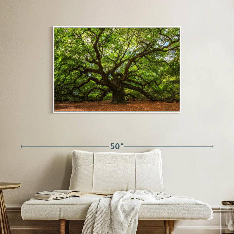 Chêne, Cadre flottant blanc, 40 po x 27 po