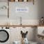 Décoration murale «Dog Bless»-34139013