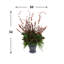 Arrangement Evergreen dans un vase
