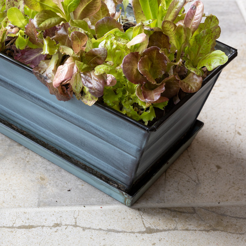 Boîte à fleurs en métal, Bleu, H 5 po x l 22 po x P 6 po